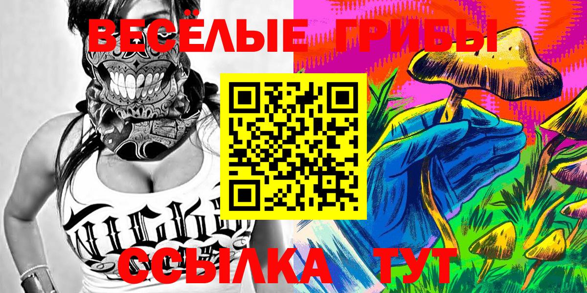 как найти закладки  Галлюциногенные грибы мухоморы  Вход с VPN  Серов  Псилоцибиновые грибы Psilocybe 