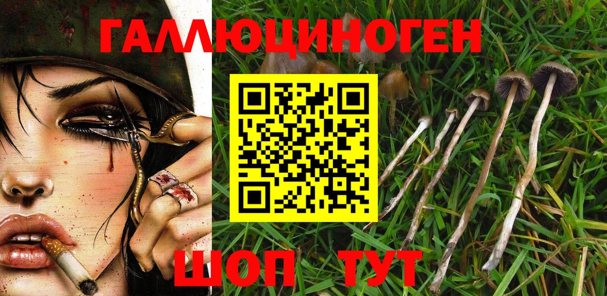Псилоцибиновые грибы ЛСД Серов